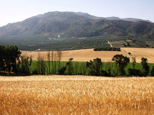 Sierra Norte Malaga