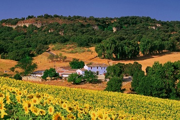 Alojamiento Jerez de la Frontera